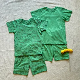 Boys summer pajama Bundle set Apple Green and Dino t-shirts   shorts