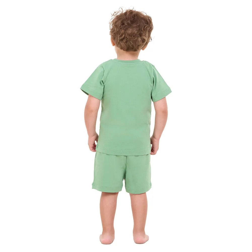 Boys summer pajama Bundle set Apple Green and Dino t-shirts   shorts