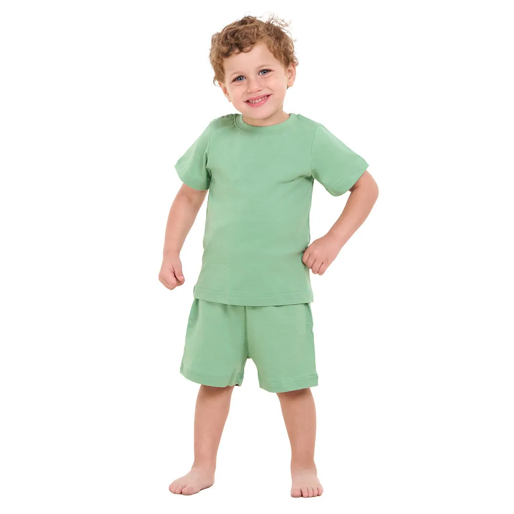 Boys summer pajama Bundle set Apple Green and Dino t-shirts   shorts
